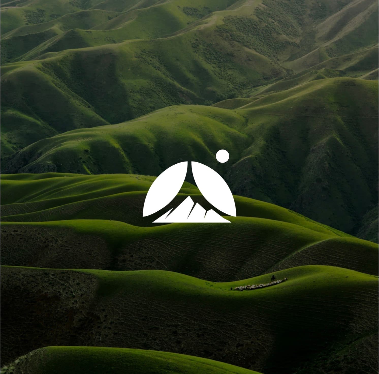 Camping Nigeria: Brand Identity